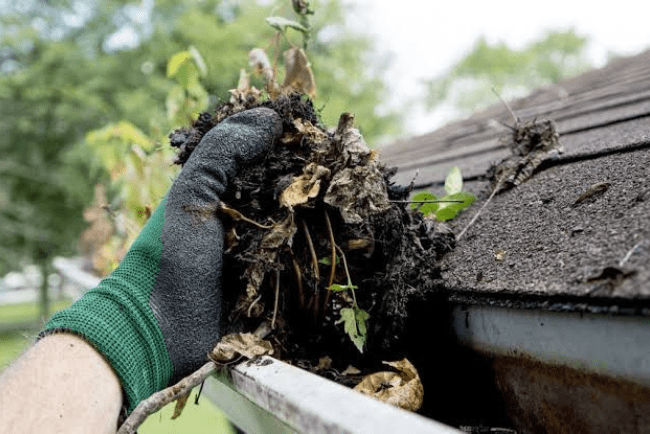 Gutter Cleaning Services in Cape Cod, MA