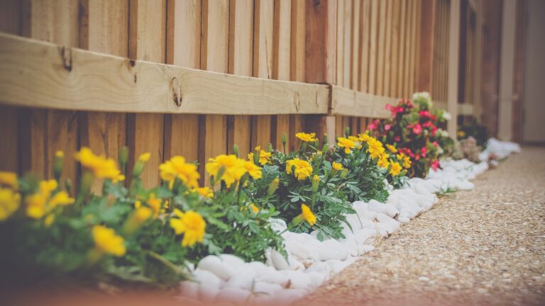 Cape Cod Landscaping Wisdom: Enhancing Your Property’s Curb Appeal