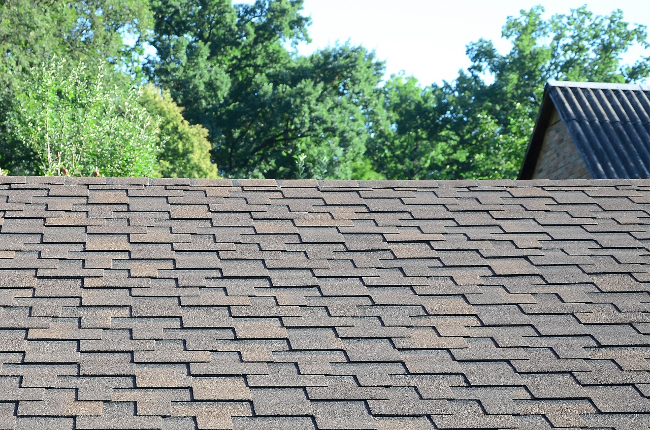 asphalt shingles