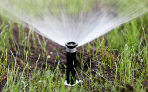 irrigation services