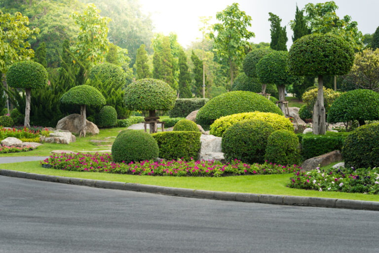 High-Impact Landscaping Ideas for Every Budget