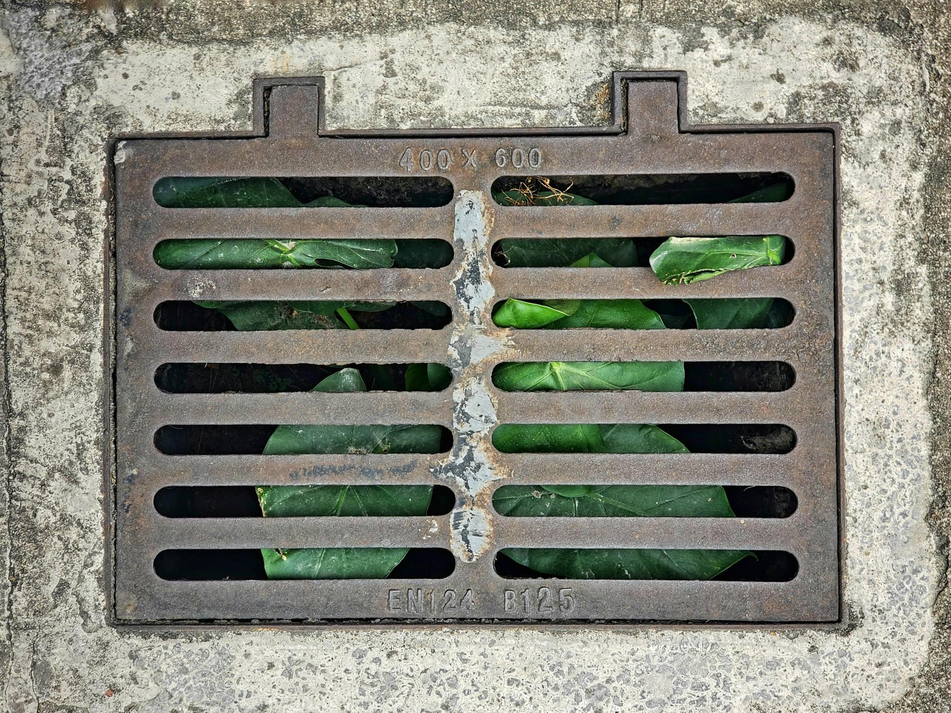 drainage