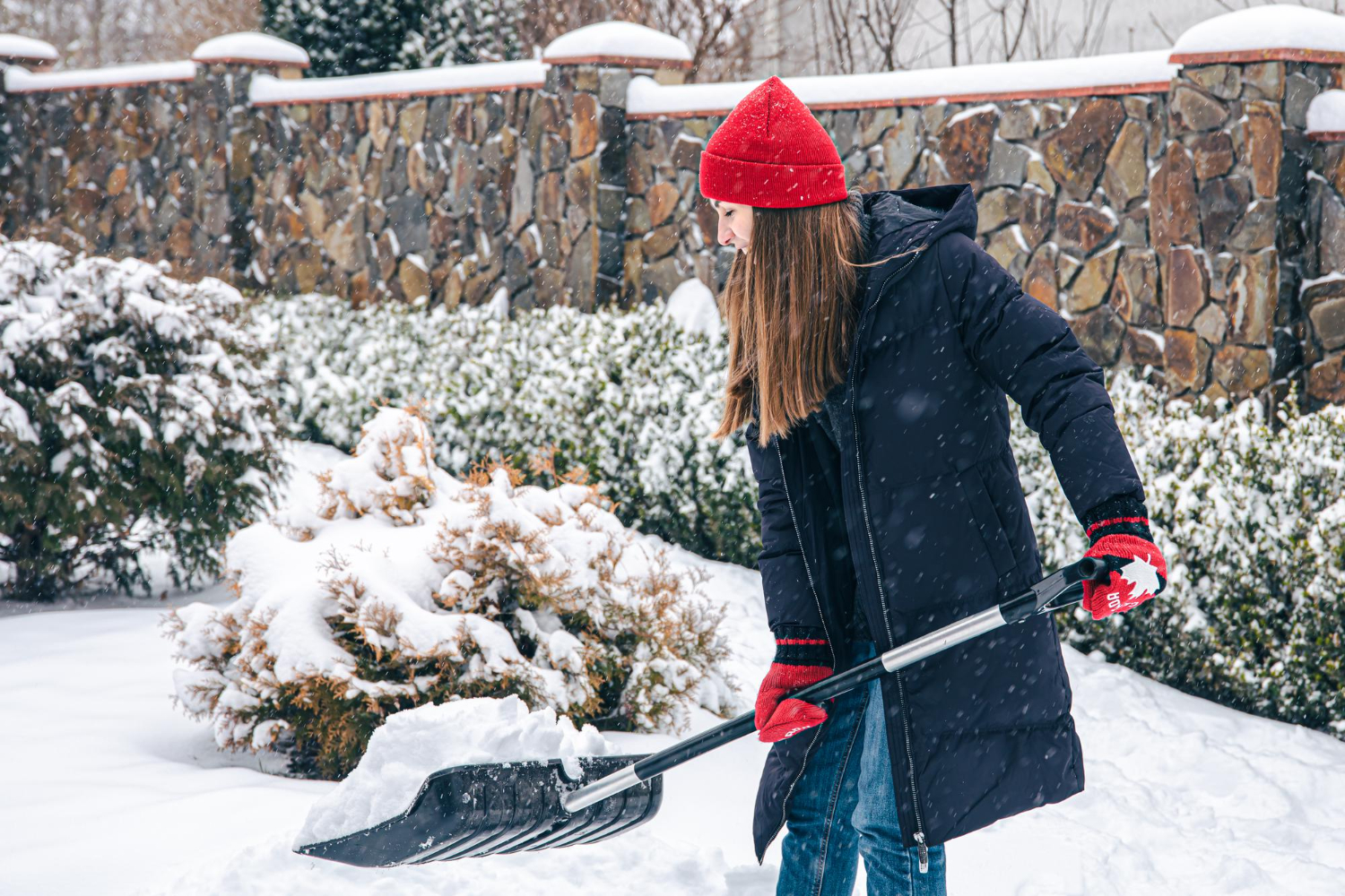 winter landscaping