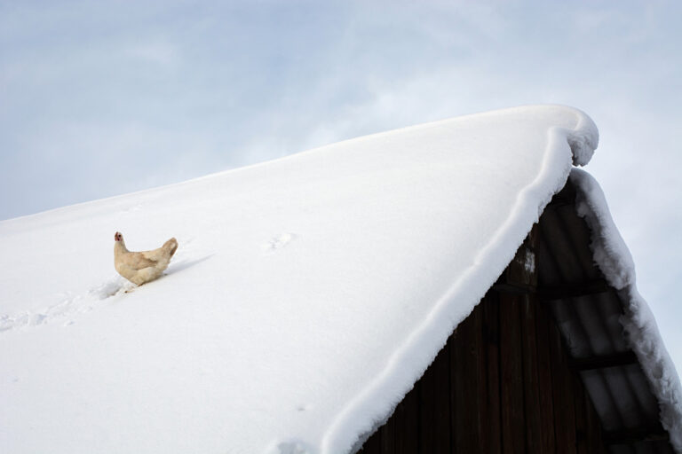 Essential Roof Repairs Before a Cape Cod Winter