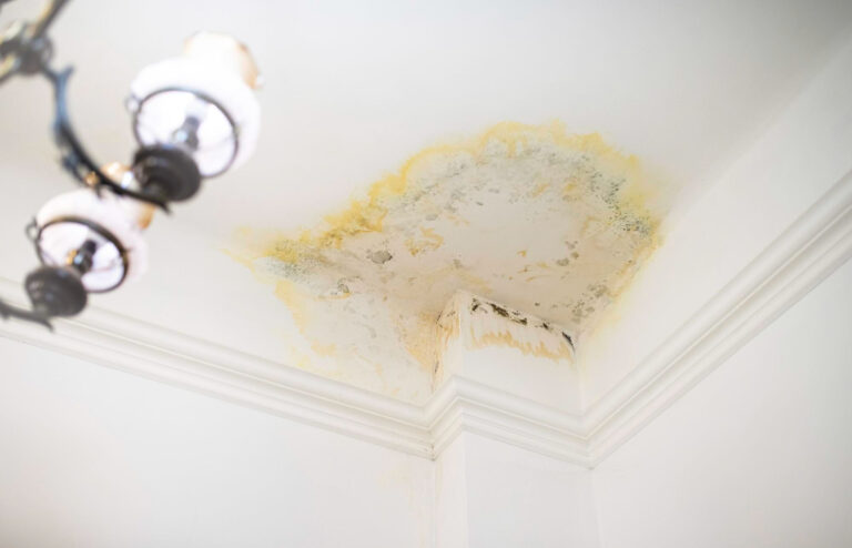 How to Detect Roof Leaks Early to Avoid Major Damages