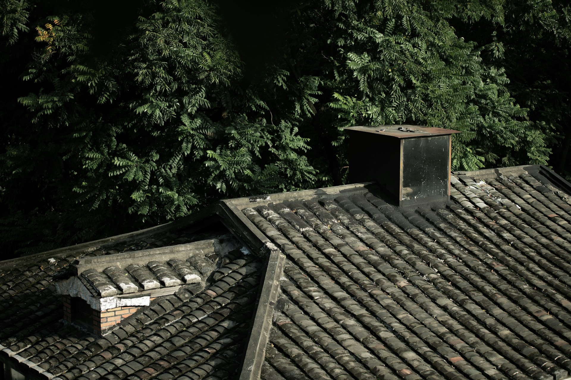 Blog 8 roof discoloration