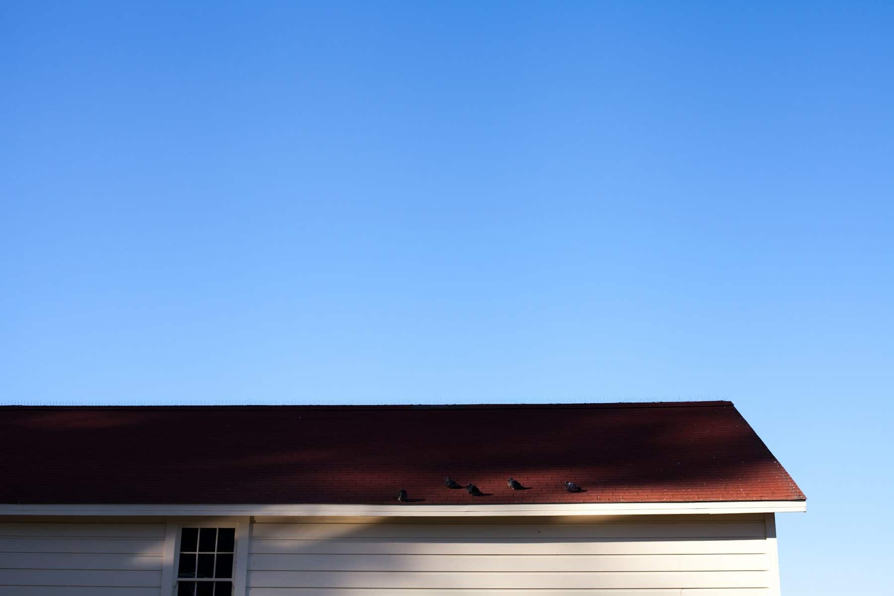 Roof of a house with birds perched, clear blue sky above, relevant to roof maintenance and home improvement topics.