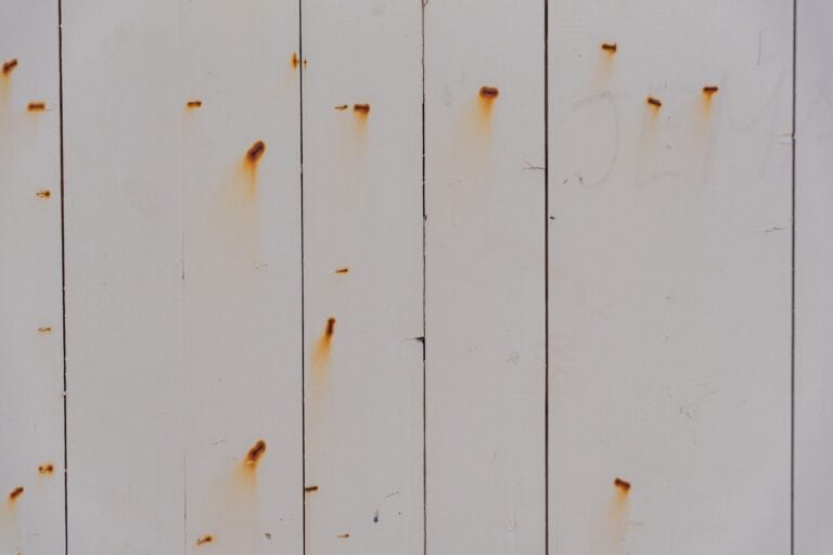 vinyl siding stains