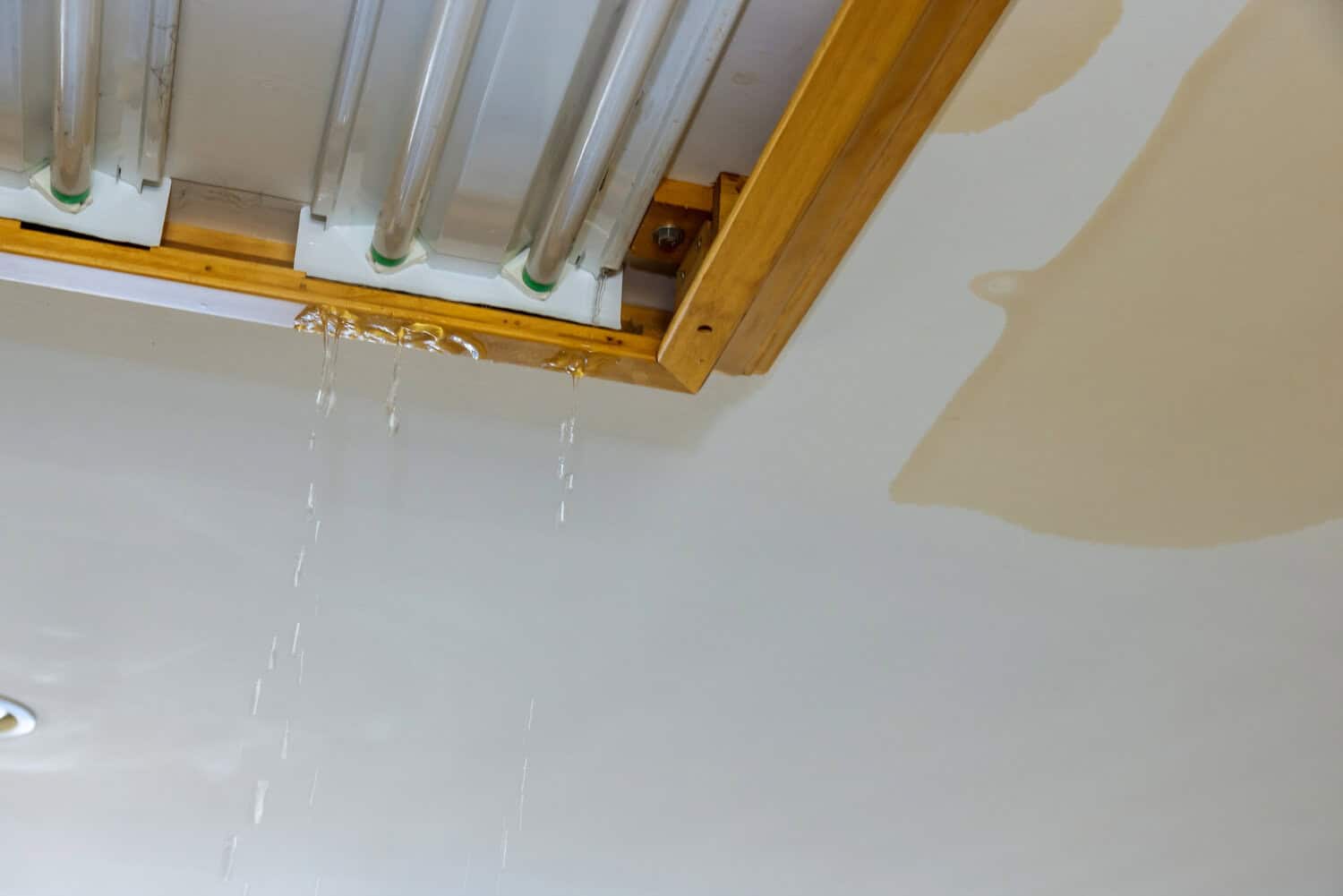 Leaking water from ceiling near wooden beam, indicating potential roof damage from leaves and pine needles.