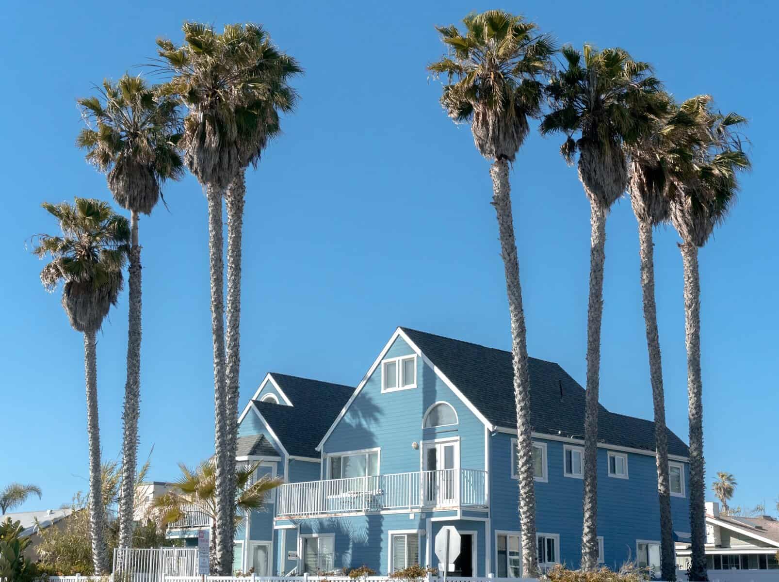Blue coastal home surrounded by tall palm trees against a clear blue sky, highlighting Cape Cod's architectural style and outdoor environment.