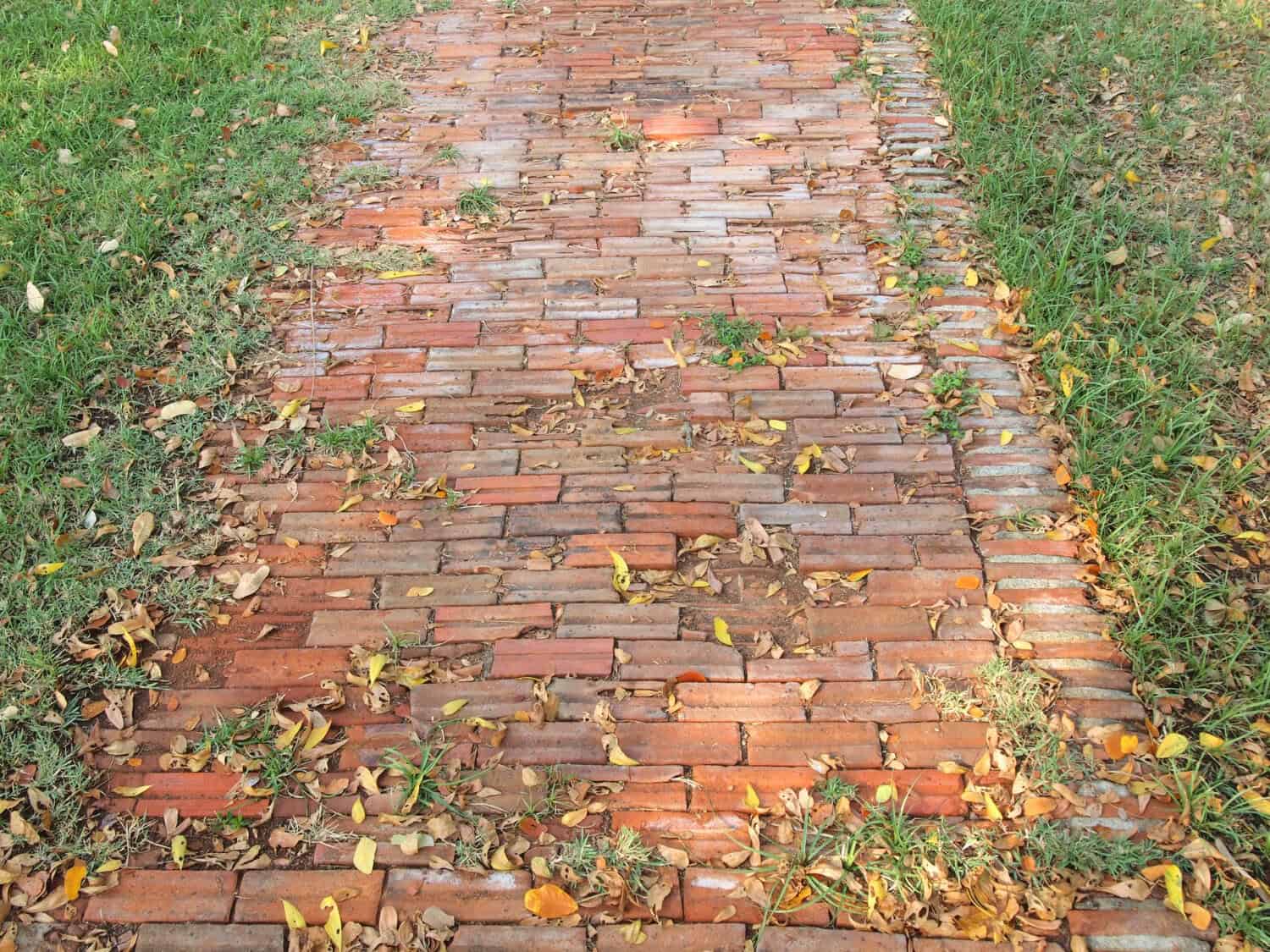 Brick walkway with scattered leaves and grass edges, illustrating masonry elements relevant to Cape Cod home construction and maintenance.