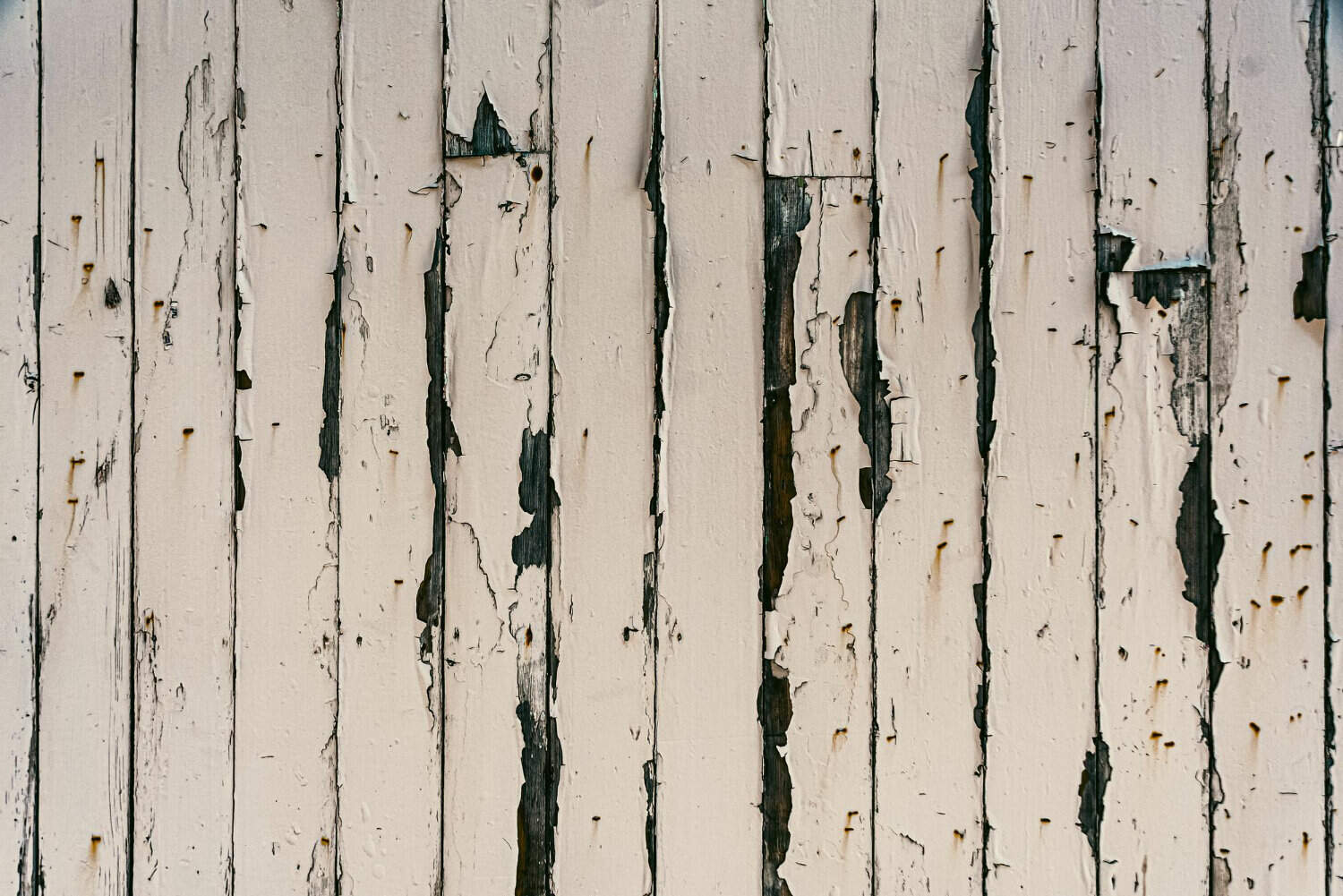 Damaged wooden siding with peeling paint and visible weathering, illustrating the need for siding repair in Cape Cod homes.