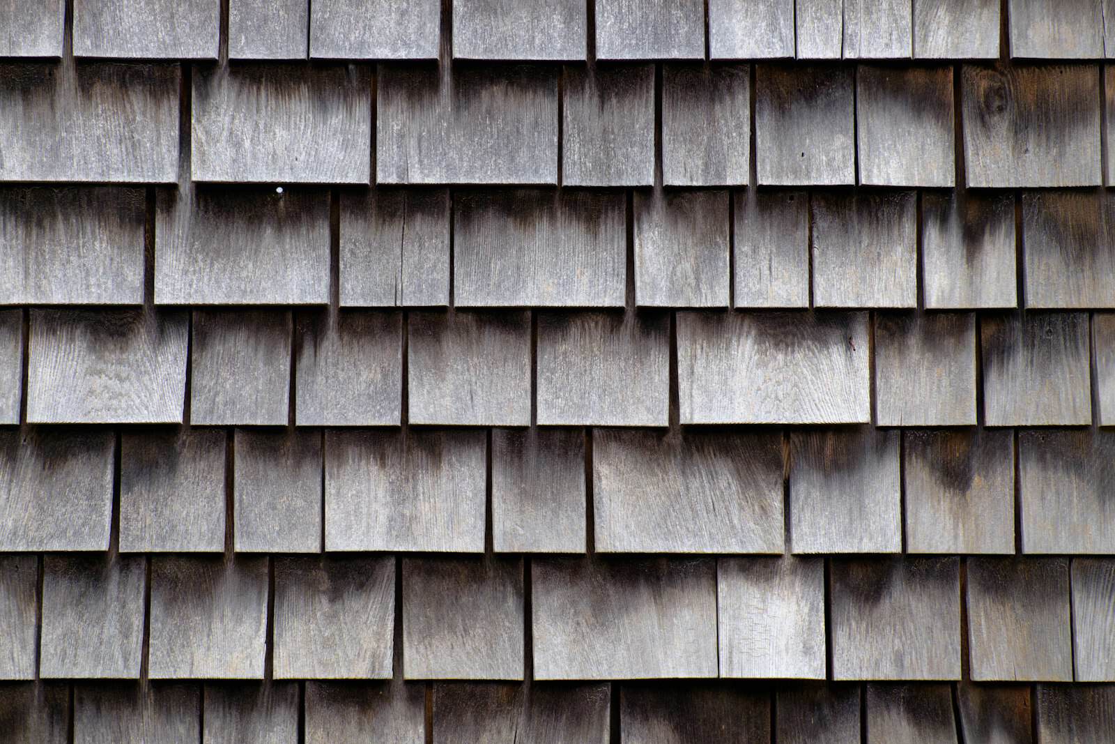Cedar shingle siding weathering on a Cape Cod coastal home near Barnstable